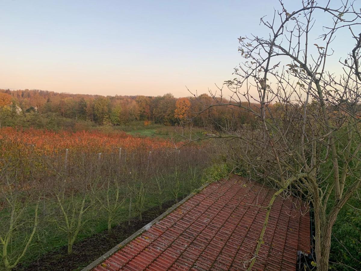 Villa Mon Repos à Saint-Brice-sous-Forêt Extérieur photo